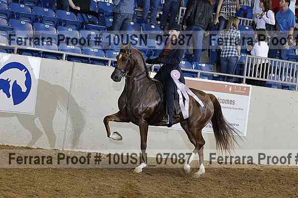 Proof 10usn_07087