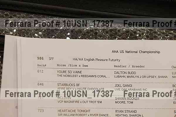 Proof 10usn_17387