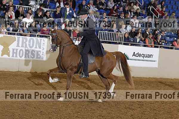 Proof 10usn_17397