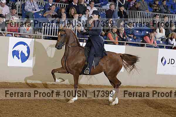 Proof 10usn_17399