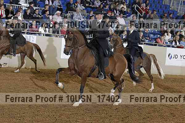 Proof 10usn_17402