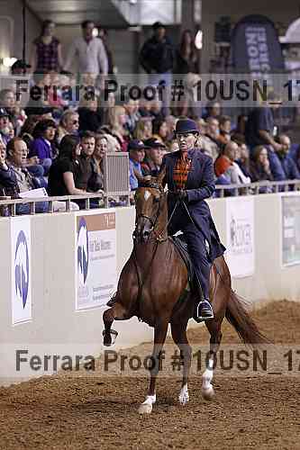 Proof 10usn_17404