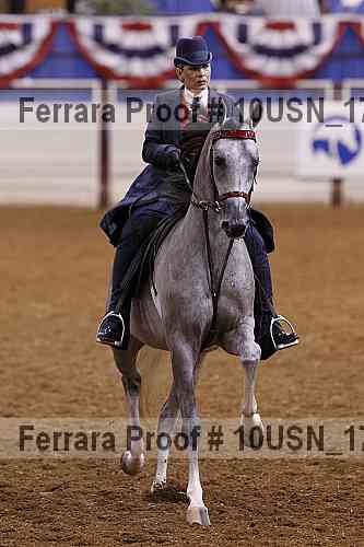 Proof 10usn_17411