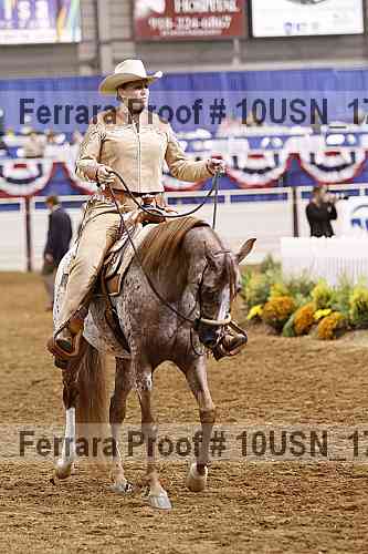 Proof 10usn_17817