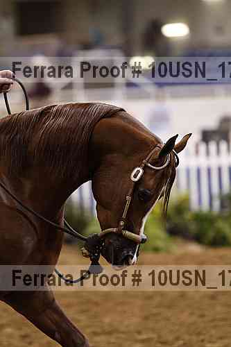 Proof 10usn_17823
