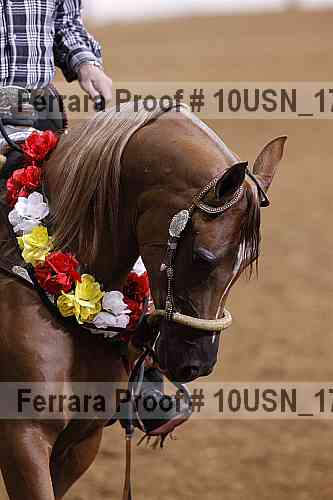 Proof 10usn_17874