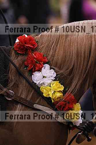 Proof 10usn_17875