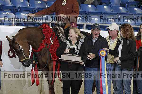 Proof 10usn_17889