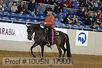 10usn_17900 proof
