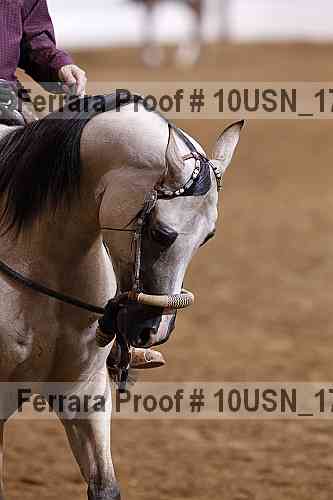 Proof 10usn_17905