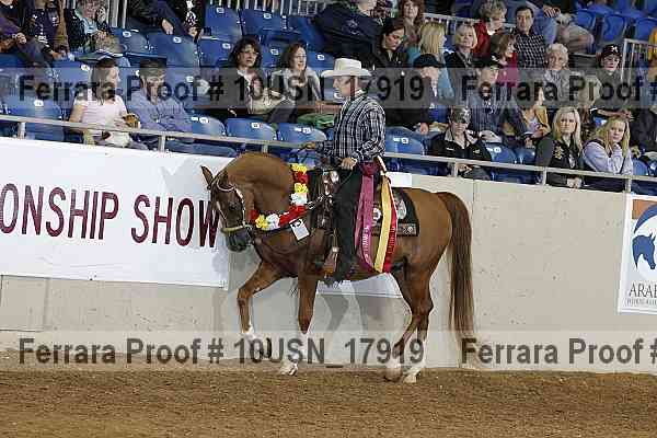 Proof 10usn_17919