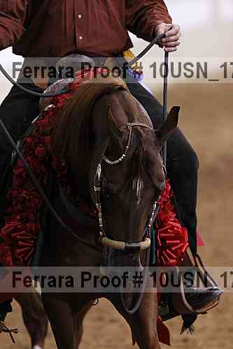 Proof 10usn_17925