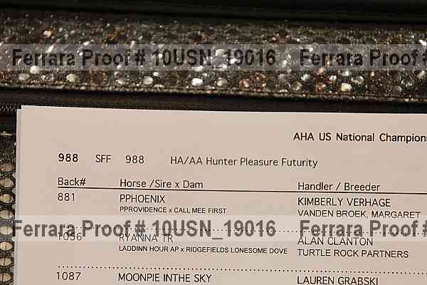 Proof 10usn_19016
