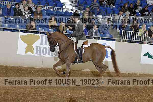Proof 10usn_19023