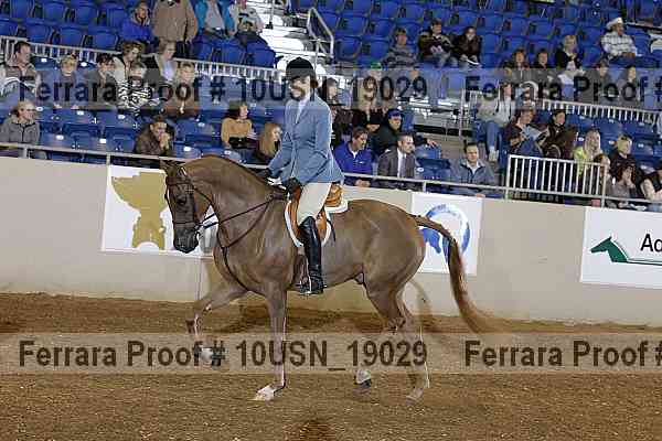 Proof 10usn_19029