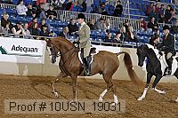 10usn_19031 proof