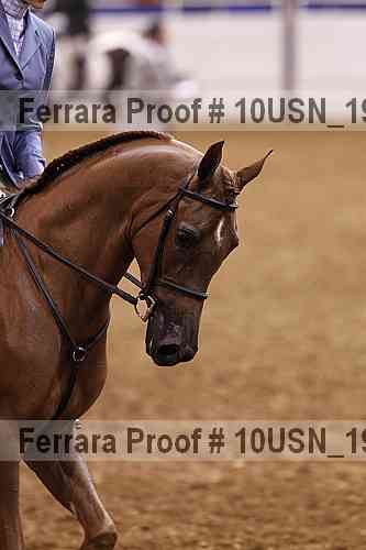 Proof 10usn_19043