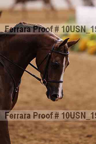 Proof 10usn_19045
