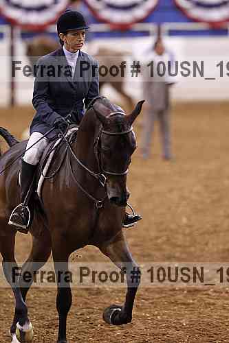 Proof 10usn_19053