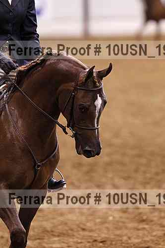 Proof 10usn_19059