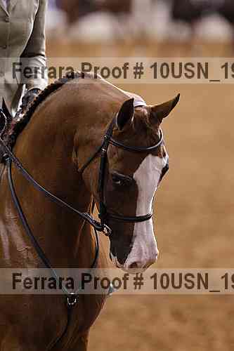 Proof 10usn_19065