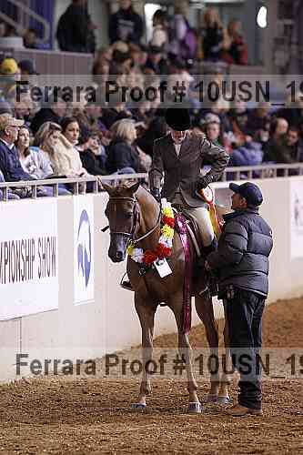 Proof 10usn_19119