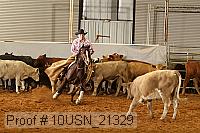 10usn_21329 proof
