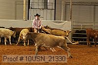 10usn_21330 proof