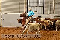 10usn_21338 proof