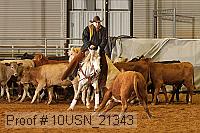 10usn_21343 proof
