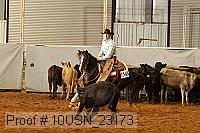 10usn_23173 proof