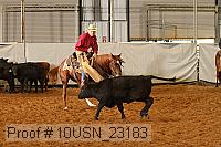 10usn_23183 proof
