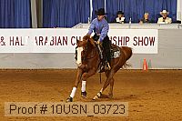 10usn_03723 proof