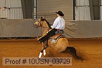 10usn_03729 proof