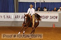 10usn_03776 proof