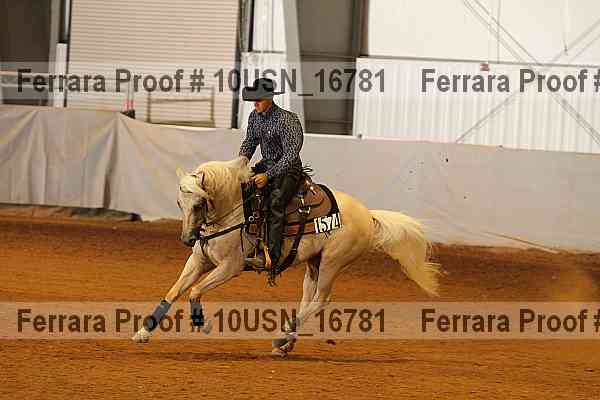 Proof 10usn_16781