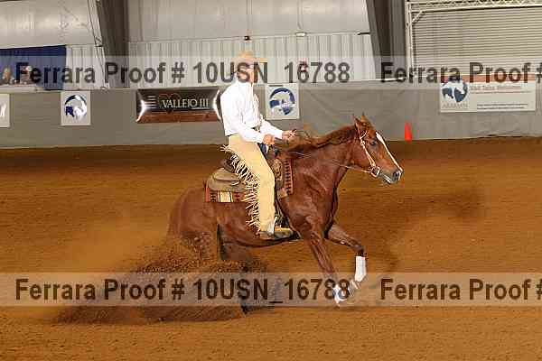 Proof 10usn_16788
