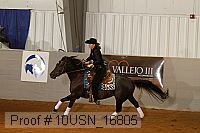 10usn_16805 proof