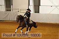 10usn_16806 proof