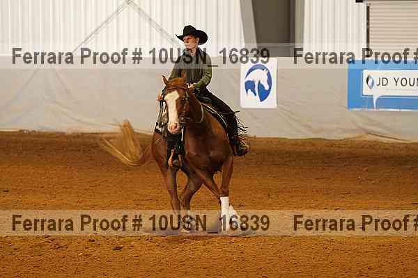 Proof 10usn_16839