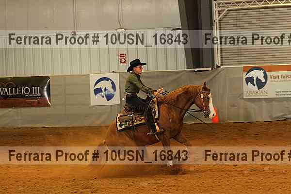 Proof 10usn_16843