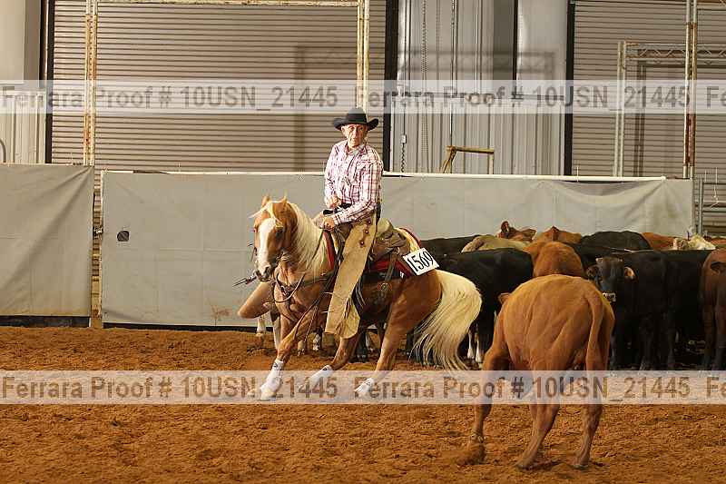 Proof 10usn_21445
