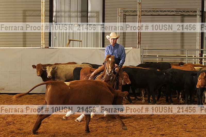 Proof 10usn_21456