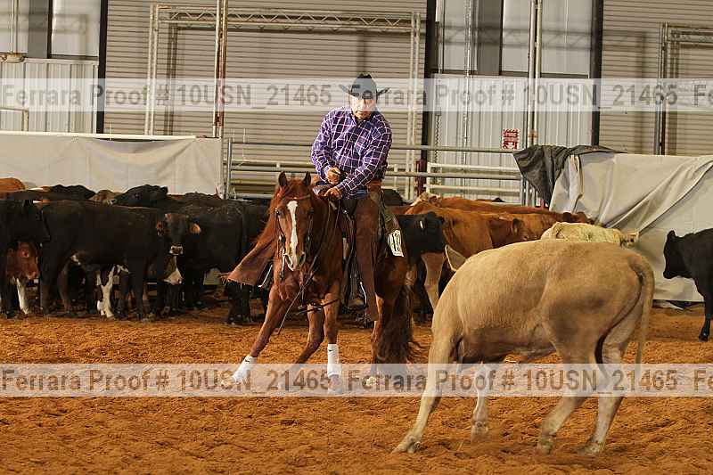 Proof 10usn_21465