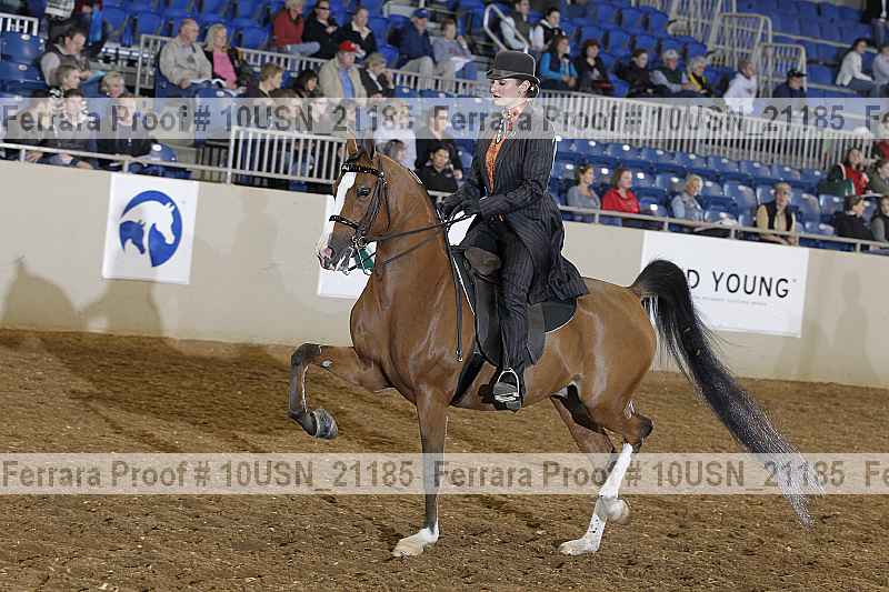 Proof 10usn_21185