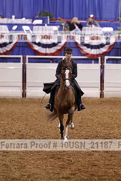 Proof 10usn_21187