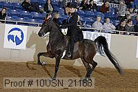 10usn_21188 proof