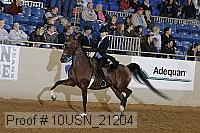 10usn_21204 proof