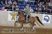 10usn_21208 proof