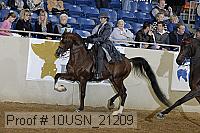 10usn_21209 proof